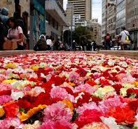 images (13)